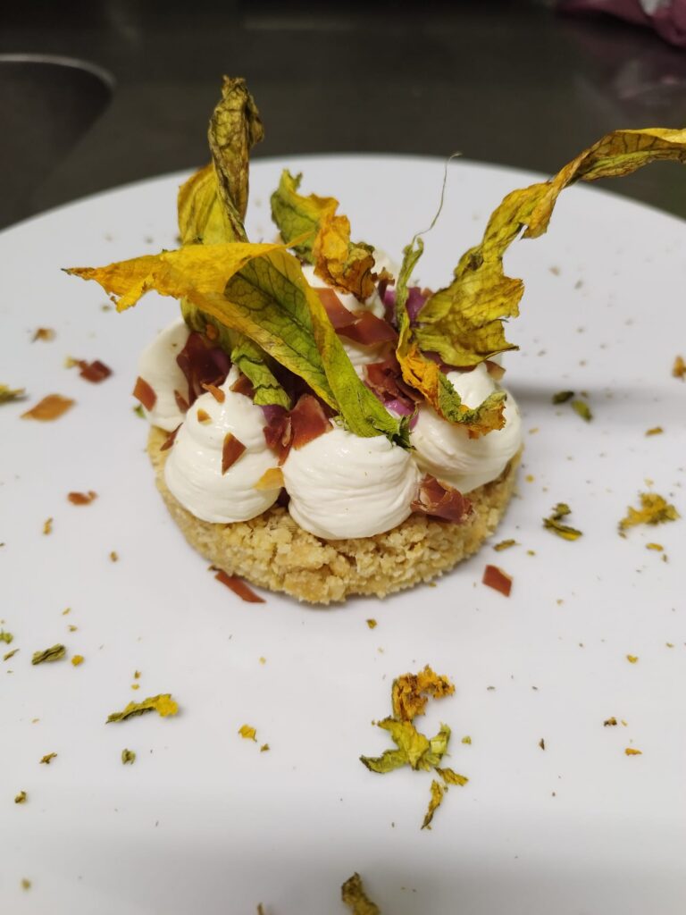 Scopri i miei piatti - Cheesecake salata